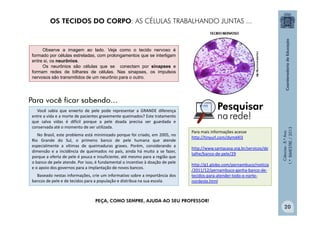 Ciências
-
8.º
Ano
1.º
BIMESTRE
/
2013
Você sabia que enxerto de pele pode representar a GRANDE diferença
entre a vida e a morte de pacientes gravemente queimados? Este tratamento
que salva vidas é difícil porque a pele doada precisa ser guardada e
conservada até o momento de ser utilizada.
No Brasil, este problema está minimizado porque foi criado, em 2005, no
Rio Grande do Sul, o primeiro banco de pele humana que atende
especialmente a vítimas de queimaduras graves. Porém, considerando a
dimensão e a incidência de queimados no país, ainda há muito a se fazer,
porque a oferta de pele é pouca e insuficiente, até mesmo para a região que
o banco de pele atende. Por isso, é fundamental o incentivo à doação de pele
e o apoio dos governos para a implantação de novos bancos.
Baseado nestas informações, crie um informativo sobre a importância dos
bancos de pele e de tecidos para a população e distribua na sua escola.
Para mais informações acesse
http://tinyurl.com/dymd4l3
http://www.santacasa.org.br/servicos/de
talhe/banco-de-pele/29
http://g1.globo.com/pernambuco/noticia
/2011/12/pernambuco-ganha-banco-de-
tecidos-para-atender-todo-o-norte-
nordeste.html
Observe a imagem ao lado. Veja como o tecido nervoso é
formado por células estreladas, com prolongamentos que se interligam
entre si, os neurônios.
Os neurônios são células que se conectam por sinapses e
formam redes de bilhares de células. Nas sinapses, os impulsos
nervosos são transmitidos de um neurônio para o outro.
PEÇA, COMO SEMPRE, AJUDA AO SEU PROFESSOR!
OS TECIDOS DO CORPO: AS CÉLULAS TRABALHANDO JUNTAS ...
20
 