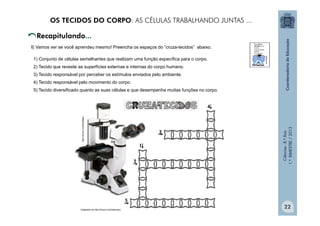 Ciências
-
8.º
Ano
1.º
BIMESTRE
/
2013
I) Vamos ver se você aprendeu mesmo! Preencha os espaços do “cruza-tecidos” abaixo.
1) Conjunto de células semelhantes que realizam uma função específica para o corpo.
2) Tecido que reveste as superfícies externas e internas do corpo humano.
3) Tecido responsável por perceber os estímulos enviados pelo ambiente.
4) Tecido responsável pelo movimento do corpo.
5) Tecido diversificado quanto as suas células e que desempenha muitas funções no corpo.
Adaptado de http://tinyurl.com/akwu4yc
http://tinyurl.com/aml9j4o
OS TECIDOS DO CORPO: AS CÉLULAS TRABALHANDO JUNTAS ...
22
 