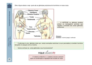 Ciências
-
8.º
Ano
1.º
BIMESTRE
/
2013
O sistema endócrino e o sistema nervoso exercem
ação na coordenação e regulação das funções do corpo.
Glossario:
hormônio – hormon (grego) = estimular
Olhe a figura abaixo e veja quais são as glândulas produtoras de hormônios no nosso corpo.
O pâncreas é uma glândula mista que produz secreções exócrinas (o suco pancreático) e também hormônio
(lançados no sangue) como a insulina.
Vamos conhecer as outras glândulas e seu funcionamento?
cienciafundamental.blogspot.com
A HIPÓFISE ou glândula pituitária
produz os mensageiros químicos que
regulam a atividade das outras glândulas
endócrinas.
!!!
FIQUE LIGADO
27
 