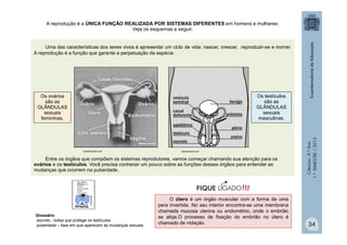 Ciências
-
8.º
Ano
1.º
BIMESTRE
/
2013
A reprodução é a ÚNICA FUNÇÃO REALIZADA POR SISTEMAS DIFERENTES em homens e mulheres.
Veja os esquemas a seguir.
Uma das características dos seres vivos é apresentar um ciclo de vida: nascer, crescer, reproduzir-se e morrer.
A reprodução é a função que garante a perpetuação da espécie .
Entre os órgãos que compõem os sistemas reprodutores, vamos começar chamando sua atenção para os
ovários e os testículos. Você precisa conhecer um pouco sobre as funções desses órgãos para entender as
mudanças que ocorrem na puberdade.
Os ovários
são as
GLÂNDULAS
sexuais
femininas.
Os testículos
são as
GLÂNDULAS
sexuais
masculinas.
Glossário
escroto - bolsa que protege os testículos.
puberdade – fase em que aparecem as mudanças sexuais.
O útero é um órgão muscular com a forma de uma
pera invertida. No seu interior encontra-se uma membrana
chamada mucosa uterina ou endométrio, onde o embrião
se aloja.O processo de fixação do embrião no útero é
chamado de nidação.
brasilescola.com webciencia.com
!!!
FIQUE LIGADO
34
 