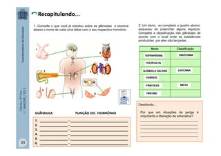 Ciências
-
8.º
Ano
1.º
BIMESTRE
/
2013
1. Consulte o que você já estudou sobre as glândulas e escreva
abaixo o nome de cada uma delas com o seu respectivo hormônio.
1. ________________ - _________________________________
2. ________________ - _________________________________
3. ________________ - _________________________________
4. ________________ - _________________________________
5. ________________ - _________________________________
6. ________________ - _________________________________
GLÂNDULA FUNÇÃO DO HORMÔNIO
2. Um aluno, ao completar o quadro abaixo,
esqueceu de preencher alguns espaços.
Complete a classificação das glândulas de
acordo com o local onde as substâncias
produzidas por elas são lançadas. .
Por que em situações de perigo é
importante a liberação de adrenalina?
_________________________________
_________________________________
_________________________________
_________________________________
_________________________________
Desafiando...
35
 