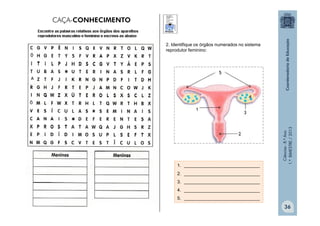 Ciências
-
8.º
Ano
1.º
BIMESTRE
/
2013
2. Identifique os órgãos numerados no sistema
reprodutor feminino:
1. ______________________________
2. ______________________________
3. ______________________________
4. ______________________________
5. ______________________________
36
CAÇA-CONHECIMENTO
 