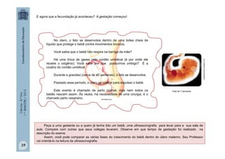 Ciências
-
8.º
Ano
1.º
BIMESTRE
/
2013
E agora que a fecundação já aconteceu? A gestação começou!
No útero, o feto se desenvolve dentro de uma bolsa cheia de
líquido que protege o bebê contra movimentos bruscos.
Você sabia que o bebê não respira na barriga da mãe?
Há uma troca de gases pelo cordão umbilical (é por onde ele
recebe o oxigênio). Você sabe por que possuímos umbigo? É a
cicatriz do cordão umbilical.
Durante a gravidez (cerca de 40 semanas), o feto se desenvolve.
Passado esse período, o útero se contrai para expulsar o bebê.
Este evento é chamado de parto normal, mas nem todos os
bebês nascem assim. Às vezes, há necessidade de uma cirurgia, é o
chamado parto cesariano.
nadiafigueiredo.blogspot.com
Feto de 7 semanas
Peça a uma gestante ou a quem já tenha tido um bebê, uma ultrassonografia para levar para a sua sala de
aula. Compare com outras que seus colegas levaram. Observe em que tempo de gestação foi realizado na
descrição do exame.
Assim, você pode comparar as várias fases do crescimento do bebê dentro do útero materno. Seu Professor
vai orientá-lo na leitura da ultrassonografia.
net-bebes.com
39
 