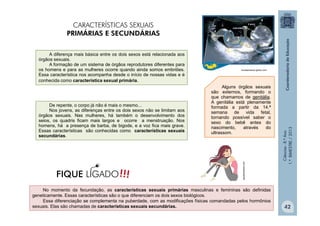 Ciências
-
8.º
Ano
1.º
BIMESTRE
/
2013
A diferença mais básica entre os dois sexos está relacionada aos
órgãos sexuais.
A formação de um sistema de órgãos reprodutores diferentes para
os homens e para as mulheres ocorre quando ainda somos embriões.
Essa característica nos acompanha desde o início de nossas vidas e é
conhecida como característica sexual primária.
De repente, o corpo já não é mais o mesmo...
Nos jovens, as diferenças entre os dois sexos não se limitam aos
órgãos sexuais. Nas mulheres, há também o desenvolvimento dos
seios, os quadris ficam mais largos e ocorre a menstruação. Nos
homens, há a presença de barba, de bigode, e a voz fica mais grave.
Essas características são conhecidas como características sexuais
secundárias.
Alguns órgãos sexuais
são externos, formando o
que chamamos de genitália.
A genitália está plenamente
formada a partir da 14.ª
semana de vida fetal,
tornando possível saber o
sexo do bebê antes do
nascimento, através do
ultrassom.
CARACTERÍSTICAS SEXUAIS
PRIMÁRIAS E SECUNDÁRIAS
saudemedica.com
No momento da fecundação, as características sexuais primárias masculinas e femininas são definidas
geneticamente. Essas características são o que diferenciam os dois sexos biológicos.
Essa diferenciação se complementa na puberdade, com as modificações físicas comandadas pelos hormônios
sexuais. Elas são chamadas de características sexuais secundárias.
revistacrescer.globo.com
!!!
FIQUE LIGADO
42
 
