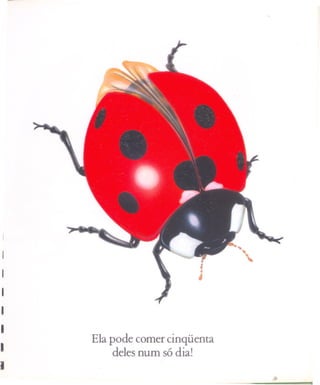 I
I
I
I
I
I
    Ela pode comer cinqüenta
I        deles num só dia!
I
                               '"   .
 