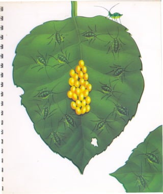 I
I
~
I
I
I
I
I
t
t
t
 ~
 I
 ~
 I
 I
 I
 I
 I
 i
 