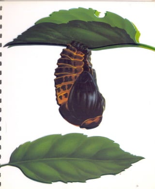 I
I
I
.
I
I
I
I
I
I
I
I
I
I
.
I
t

~
I   ...
 