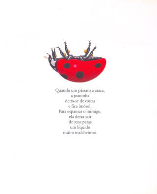Quando um pássaro a ataca,
        a joaninha
    deita-se de costas
      e fica imóvel.
 Para espantar o inimigo,
       ela deixa sair
      de suas patas
        um líquido
    muito malcheiroso.
 