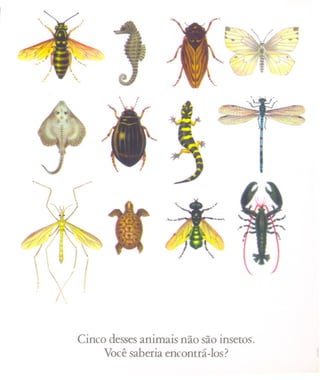 11

                                                           ~~.~~
                                                           ~~  '!f<   ~



                                                           .~.~. " ~
                                                           'c
                                                                >-.




                       .   -




 G~   ;




  ;'.'.J~
        i
                  ~.           :.




  V
 I }/                    ~...-




/ft~
  J               I        "
 .      "
              
                  t        )I

                            Cinco desses animais não são insetos.
                                 Você saberia encontrá-los?
 