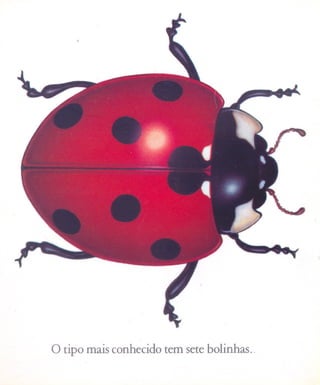 o tipo mais conhecido tem sete bolinhas..
 
