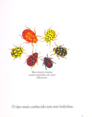 ~.




      ., "
 ' - f

~~1~
~
''? r
  A




                     Mas existem muitas
                  outras joaninhas de cores
                          diferentes.




o tipo mais conhecido tem sete bolinhas..

                                              ,.
 