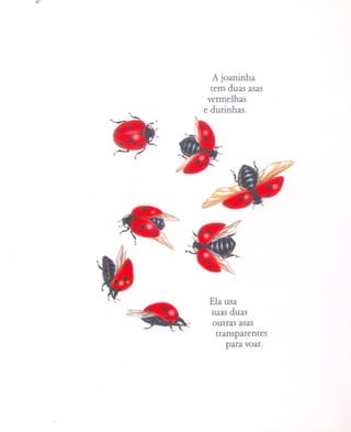 ..




     .
     ,.'-   .."/
                      A joaninha
                     tem duas asas
                    vermelhas
                   e durinhas.




                    Ela usa

            ~       suas duas
                     outras asas
                      transparentes
                         para voar.
 