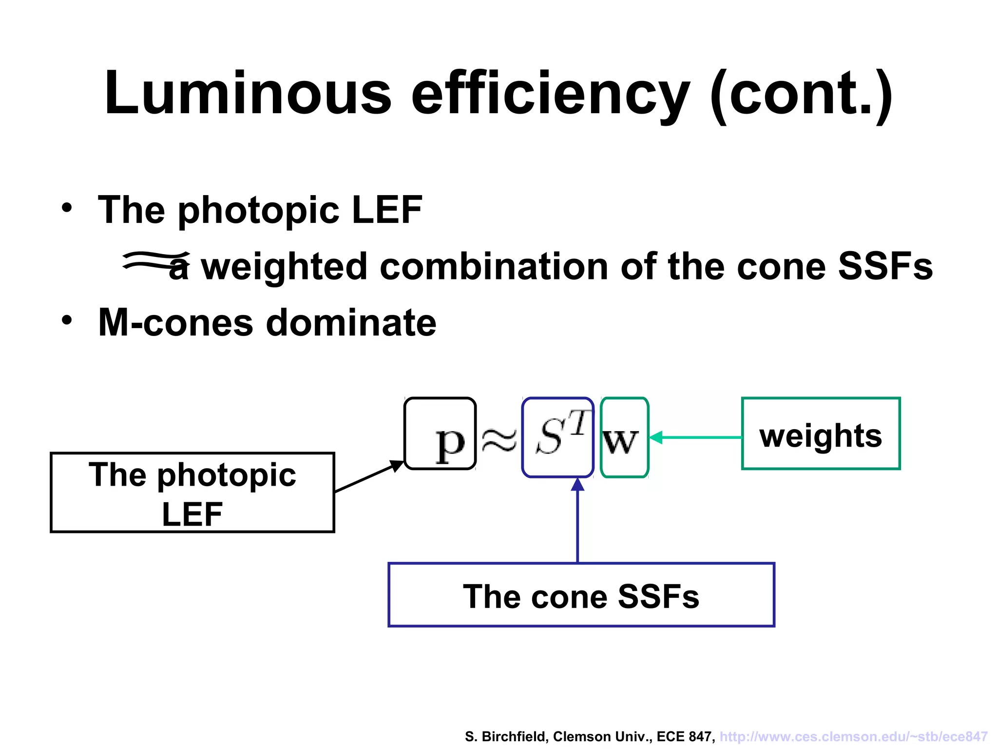 Luminous efficiency (cont.)
• The photopic LEF
a weighted combination of the cone SSFs
• M-cones dominate
≈
The cone SSFs
weights
The photopic
LEF
S. Birchfield, Clemson Univ., ECE 847, http://www.ces.clemson.edu/~stb/ece847
 