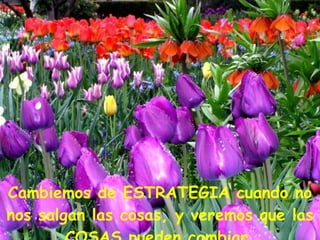 Cambiemos de ESTRATEGIA cuando no nos salgan las cosas, y veremos que las COSAS pueden cambiar. 
