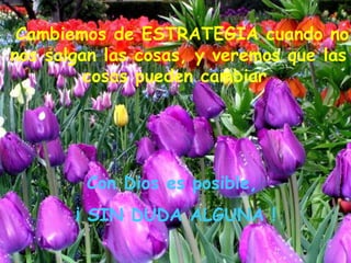 Cambiemos de ESTRATEGIA cuando no nos salgan las cosas, y veremos que las cosas pueden cambiar Con Dios es posible, ¡ SIN DUDA ALGUNA !