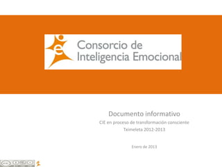 Documento informativo
CIE en proceso de transformación consciente
            Tximeleta 2012-2013


               Enero de 2013
 