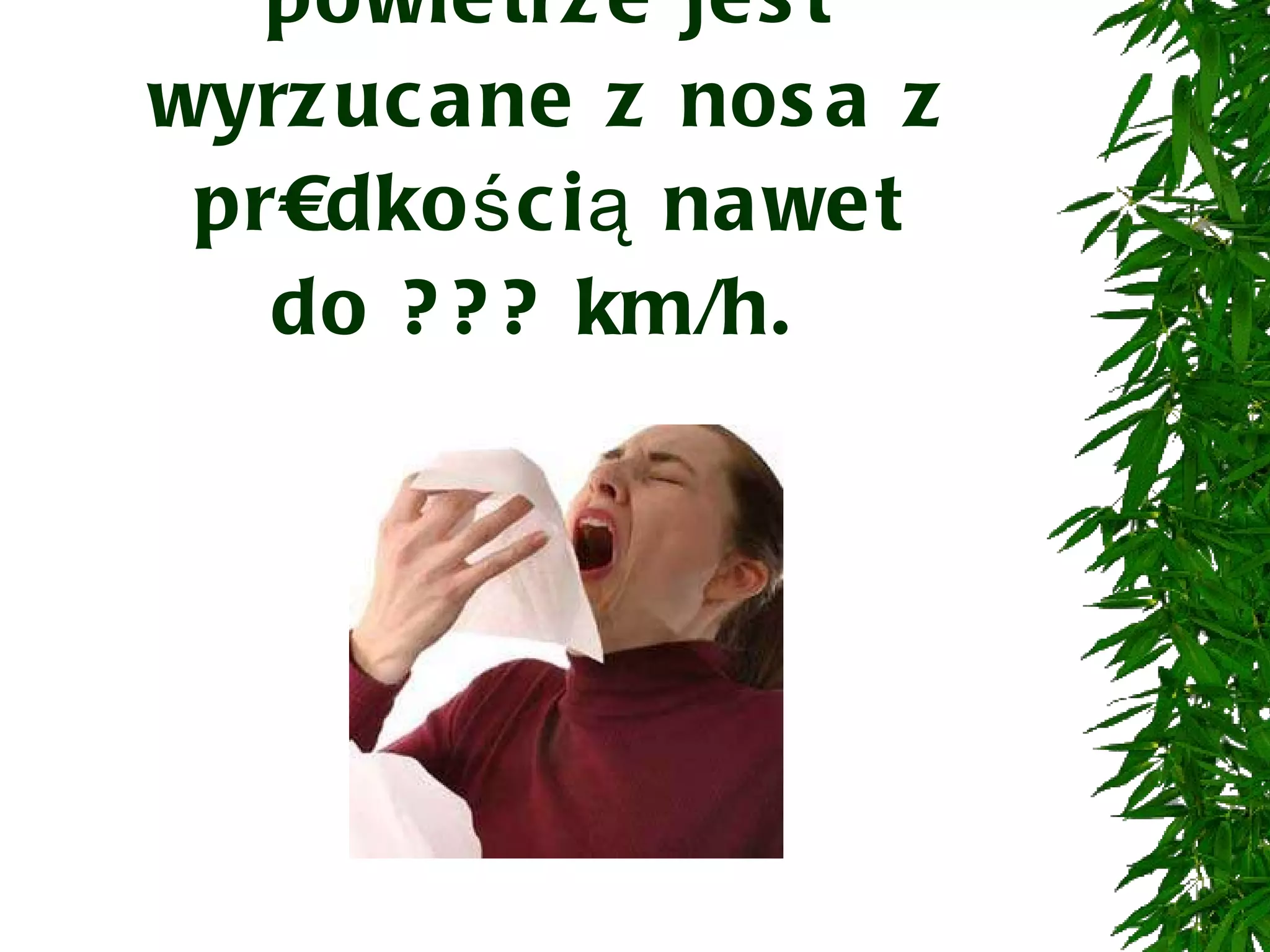 W trakcie kichania powietrze jest wyrzucane z nosa z prędkością nawet do ??? km/h.  