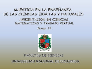 MAESTRIA EN LA ENSEÑANZA  DE LAS CIENCIAS EXACTAS Y NATURALES AMBIENTACION EN CIENCIAS, MATEMATICAS Y TRABAJO VIRTUAL Grupo 13 FACULTAD DE CIENCIAS UNIVERSIDAD NACIONAL DE COLOMBIA 