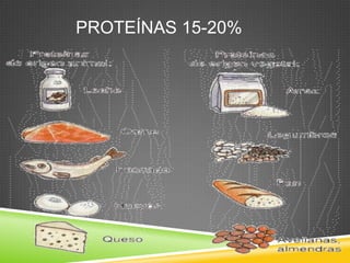 PROTEÍNAS 15-20%

 
