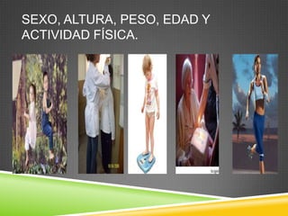 SEXO, ALTURA, PESO, EDAD Y
ACTIVIDAD FÍSICA.

 