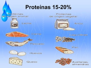 Proteínas 15-20%

 