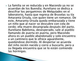  La familia se ve reducida y en Macondo ya no se
acuerdan de los Buendía; Aureliano se dedica a
descifrar los pergaminos de Melquíades en el
laboratorio, hasta que regresa de Bruselas su tía
Amaranta Úrsula, con quien tiene un romance. De
este, Amaranta Úrsula queda embarazada y tiene
un niño que al nacer se descubre con cola de
cerdo; ella muere desangrada después del parto.
Aureliano Babilonia, desesperado, sale al pueblo
llamando de puerta en puerta, pero Macondo
ahora es un pueblo abandonado y solo encuentra
a un cantinero que le ofrece aguardiente,
quedándose dormido. Al despertar se acuerda
del niño recién nacido y corre a buscarlo, pero a
su llegada encuentra que se lo están comiendo
las hormigas.
 