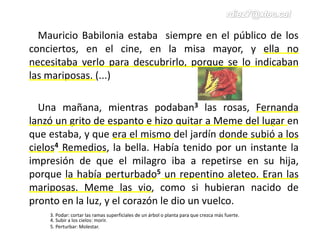 Mauricio Babilonia estaba siempre en el público de los
conciertos, en el cine, en la misa mayor, y ella no
necesitaba verlo para descubrirlo, porque se lo indicaban
las mariposas. (...)
Una mañana, mientras podaban3 las rosas, Fernanda
lanzó un grito de espanto e hizo quitar a Meme del lugar en
que estaba, y que era el mismo del jardín donde subió a los
cielos4 Remedios, la bella. Había tenido por un instante la
impresión de que el milagro iba a repetirse en su hija,
porque la había perturbado5 un repentino aleteo. Eran las
mariposas. Meme las vio, como si hubieran nacido de
pronto en la luz, y el corazón le dio un vuelco.
3. Podar: cortar las ramas superficiales de un árbol o planta para que crezca más fuerte.
4. Subir a los cielos: morir.
5. Perturbar: Molestar.
 