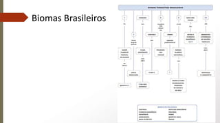 Biomas Brasileiros
 