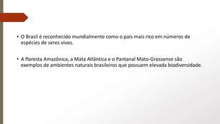 • O Brasil é reconhecido mundialmente como o país mais rico em números de
espécies de seres vivos.
• A floresta Amazônica, a Mata Atlântica e o Pantanal Mato-Grossense são
exemplos de ambientes naturais brasileiros que possuem elevada biodiversidade.
 