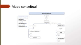 Mapa conceitual
 