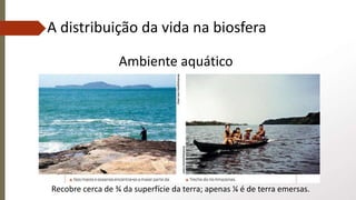 A distribuição da vida na biosfera
Recobre cerca de ¾ da superfície da terra; apenas ¼ é de terra emersas.
Ambiente aquático
 