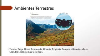 Ambientes Terrestres
• Tundra, Taiga, Flores Temperada, Floresta Tropicais, Campos e Desertos são os
Grandes Ecossistemas Terrestres.
 