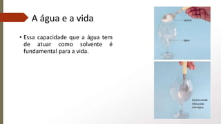 A água e a vida
• Essa capacidade que a água tem
de atuar como solvente é
fundamental para a vida.
 