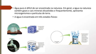 • Água pura é difícil de ser encontrada na natureza. Em geral, a água na natureza
contém gases e sais minerais dissolvidos e frequentemente, apresenta
microrganismos e partículas de terra.
• A água é encontrada em três estados físicos:
 