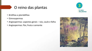 O reino das plantas
• Briófitas e pteridófitas
• Gimnospermas
• Angiospermas: aspectos gerais – raiz, caule e folha
• Angiospermas: flor, fruto e semente
 