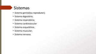 Sistemas
• Sistema genital(ou reprodutor);
• Sistema digestório;
• Sistema respiratório;
• Sistema cardiovascular
• Sistema esquelético;
• Sistema muscular;
• Sistema nervoso.
 