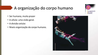 A organização do corpo humano
• Ser humano, muito prazer
• A célula: uma visão geral.
• A divisão celular.
• Níveis organização do corpo humano.
 