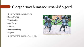 O organismo humano: uma visão geral
• O ser humano é um animal:
*Heterotrófico;
*Vertebrado;
*Mamífero;
*Primata;
*Homeotérmico;
*Vivíparo.
• O Ser humano é um animal social.
 