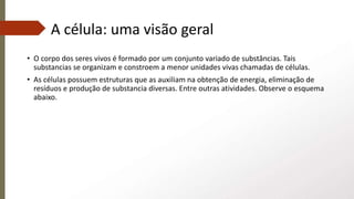 A célula: uma visão geral
• O corpo dos seres vivos é formado por um conjunto variado de substâncias. Tais
substancias se organizam e constroem a menor unidades vivas chamadas de células.
• As células possuem estruturas que as auxiliam na obtenção de energia, eliminação de
resíduos e produção de substancia diversas. Entre outras atividades. Observe o esquema
abaixo.
 