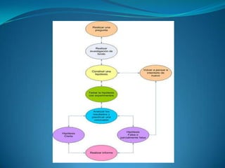  Descripción: trata de una detallada descripción del fenómeno.