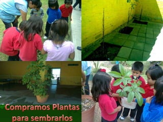 Ciencia en Preescolar