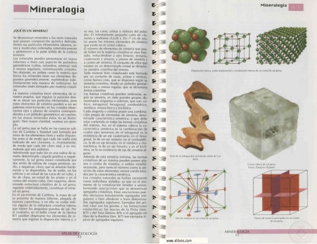 download The Biology of