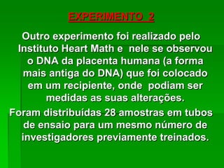 EXPERIMENTO 2
Outro experimento foi realizado pelo
Instituto Heart Math e nele se observou
o DNA da placenta humana (a forma
mais antiga do DNA) que foi colocado
em um recipiente, onde podiam ser
medidas as suas alterações.
Foram distribuídas 28 amostras em tubos
de ensaio para um mesmo número de
investigadores previamente treinados.
 
