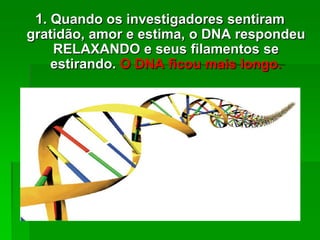 1. Quando os investigadores sentiram
gratidão, amor e estima, o DNA respondeu
RELAXANDO e seus filamentos se
estirando. O DNA ficou mais longo.
 