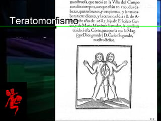Teratomor fismo 