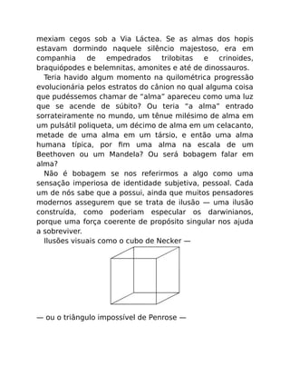 mexiam cegos sob a Via Láctea. Se as almas dos hopis
estavam dormindo naquele silêncio majestoso, era em
companhia de empedrados trilobitas e crinoides,
braquiópodes e belemnitas, amonites e até de dinossauros.
Teria havido algum momento na quilométrica progressão
evolucionária pelos estratos do cânion no qual alguma coisa
que pudéssemos chamar de “alma” apareceu como uma luz
que se acende de súbito? Ou teria “a alma” entrado
sorrateiramente no mundo, um tênue milésimo de alma em
um pulsátil poliqueta, um décimo de alma em um celacanto,
metade de uma alma em um társio, e então uma alma
humana típica, por ﬁm uma alma na escala de um
Beethoven ou um Mandela? Ou será bobagem falar em
alma?
Não é bobagem se nos referirmos a algo como uma
sensação imperiosa de identidade subjetiva, pessoal. Cada
um de nós sabe que a possui, ainda que muitos pensadores
modernos assegurem que se trata de ilusão — uma ilusão
construída, como poderiam especular os darwinianos,
porque uma força coerente de propósito singular nos ajuda
a sobreviver.
Ilusões visuais como o cubo de Necker —
— ou o triângulo impossível de Penrose —
 