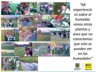 “ Mi experiencia es sobre el humedal, vimos otras plantas y aves que no conocíamos que solo se pueden ver en los humedales” 