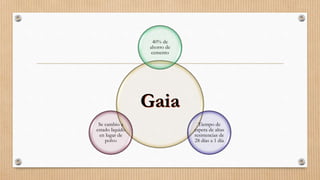 Gaia
40% de
ahorro de
cemento
Tiempo de
espera de altas
resistencias de
28 días a 1 día
Se cambio a
estado liquido
en lugar de
polvo
 