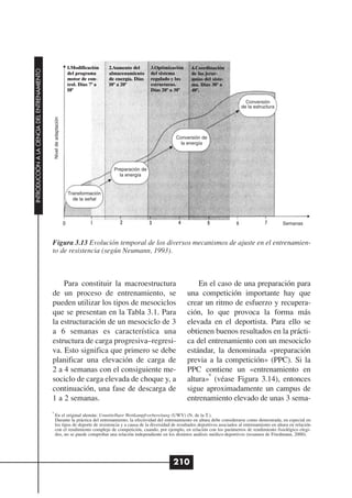 1.Modificación    2.Aumento del      3.Optimización    4.Coordinación
INTRODUCCIÓN A LA CIENCIA DEL ENTRENAMIENTO




                                                                        del programa      almacenamiento     del sistema       de las jerar-
                                                                        motor de con-     de energía. Días   regulado y las    quías del siste-
                                                                        trol. Días 7º a   10º a 20º          estructuras.      ma. Días 30º a
                                                                        10º                                  Días 20º a 30º    40º.

                                                                                                                                                        Conversión
                                                                                                                                                      de la estructura
                                                  Nivel de adaptación




                                                                                                                       Conversión de
                                                                                                                         la energía




                                                                                            Preparación de
                                                                                              la energía


                                                                        Transformación
                                                                          de la señal




                                                                                                                                                                            Semanas



                                              Figura 3.13 Evolución temporal de los diversos mecanismos de ajuste en el entrenamien-
                                              to de resistencia (según Neumann, 1993).



                                                  Para constituir la macroestructura                                              En el caso de una preparación para
                                              de un proceso de entrenamiento, se                                              una competición importante hay que
                                              pueden utilizar los tipos de mesociclos                                         crear un ritmo de esfuerzo y recupera-
                                              que se presentan en la Tabla 3.1. Para                                          ción, lo que provoca la forma más
                                              la estructuración de un mesociclo de 3                                          elevada en el deportista. Para ello se
                                              a 6 semanas es característica una                                               obtienen buenos resultados en la prácti-
                                              estructura de carga progresiva–regresi-                                         ca del entrenamiento con un mesociclo
                                              va. Esto significa que primero se debe                                          estándar, la denominada «preparación
                                              planificar una elevación de carga de                                            previa a la competición» (PPC). Si la
                                              2 a 4 semanas con el consiguiente me-                                           PPC contiene un «entrenamiento en
                                                                                                                                     8
                                              sociclo de carga elevada de choque y, a                                         altura» (véase Figura 3.14), entonces
                                              continuación, una fase de descarga de                                           sigue aproximadamente un campus de
                                              1 a 2 semanas.                                                                  entrenamiento elevado de unas 3 sema-
                                              8
                                                   En el original alemán: Unmittelbare Wettkampfvorbereitung (UWV) (N. de la T.).
                                                   Durante la práctica del entrenamiento, la efectividad del entrenamiento en altura debe considerarse como demostrada, en especial en
                                                   los tipos de deporte de resistencia y a causa de la diversidad de resultados deportivos asociados al entrenamiento en altura en relación
                                                   con el rendimiento complejo de competición, cuando, por ejemplo, en relación con los parámetros de rendimiento fisiológico elegi-
                                                   dos, no se puede comprobar una relación independiente en los distintos análisis médico-deportivos (resumen de Friedmann, 2000).




                                                                                                                      210
 