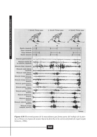 INTRODUCCIÓN A LA CIENCIA DEL ENTRENAMIENTO




                                                                 1. Schritt: Primer paso   2. Schritt: Primer paso   3. Schritt: Primer paso




                                                     Bastón izquierdo
                                                      Esquí izquierdo
                                                       Esquí derecho
                                                      Bastón derecho

                                                Músculo gastrocnemio
                                                    Músculo erector de
                                                 la columna, izquierdo
                                              Músculo tibial, izquierdo
                                                Músculo vasto lateral,
                                                            izquierdo
                                                Músculo vasto lateral,
                                                             derecho
                                              Músculo bíceps femoral,
                                                            izquierdo
                                              Músculo bíceps femoral,
                                                             derecho
                                               Músculo gastrocnemio,
                                                             derecho
                                               Músculo glúteo mayor,
                                                            izquierdo
                                               Músculo glúteo mayor,
                                                              derecho
                                                 Músculo abdominal,
                                                              derecho
                                                    Músculo pectoral,
                                                              derecho
                                              Músculo redondo mayor,
                                                              derecho
                                                      Músculo tríceps
                                                    braquial, derecho

                                                                                                                                   Tiempo


                                              Figura 4.10 Electromiograma de la musculatura que forma parte del trabajo de la pier-
                                              na y el brazo en el paso de avance hacia la derecha en la carrera de fondo de esquí (según
                                              Schwirtz, 1994).


                                                                                           260
 